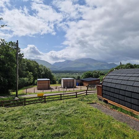 Pinemarten Lodge Ройбрідж Екстер'єр фото